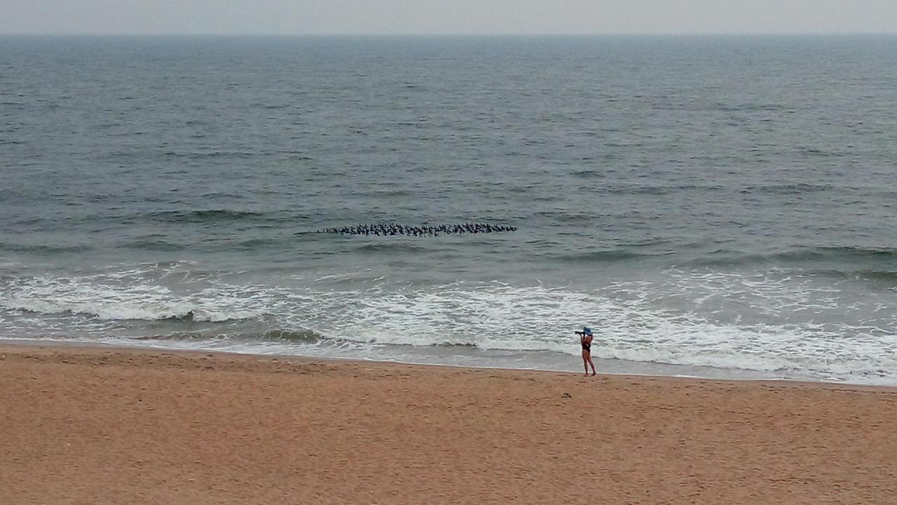 Sea La Vie Covelong Beach Resort Kelambākkam Exteriör bild